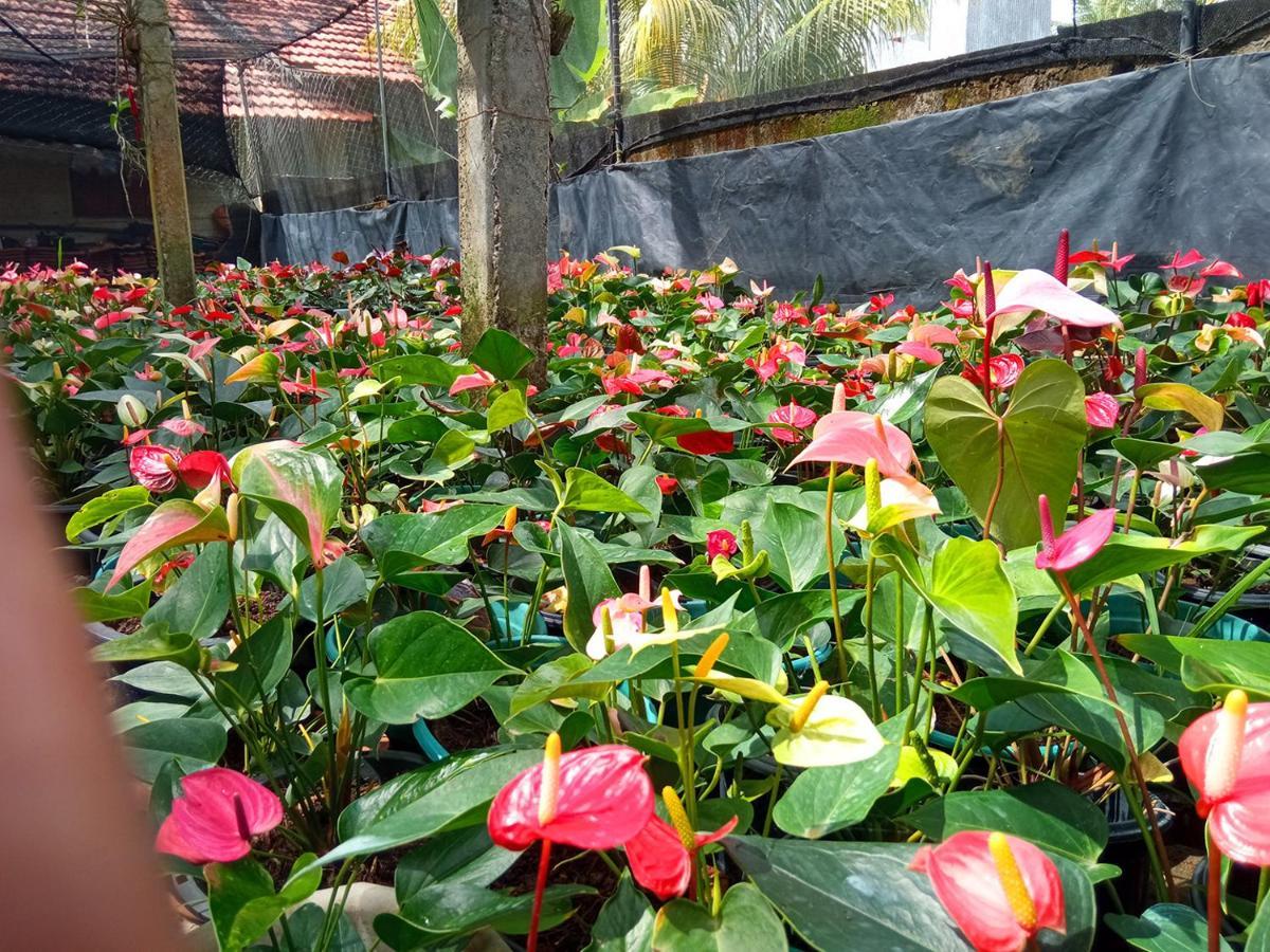 Muru'S Place Dikwella Luaran gambar